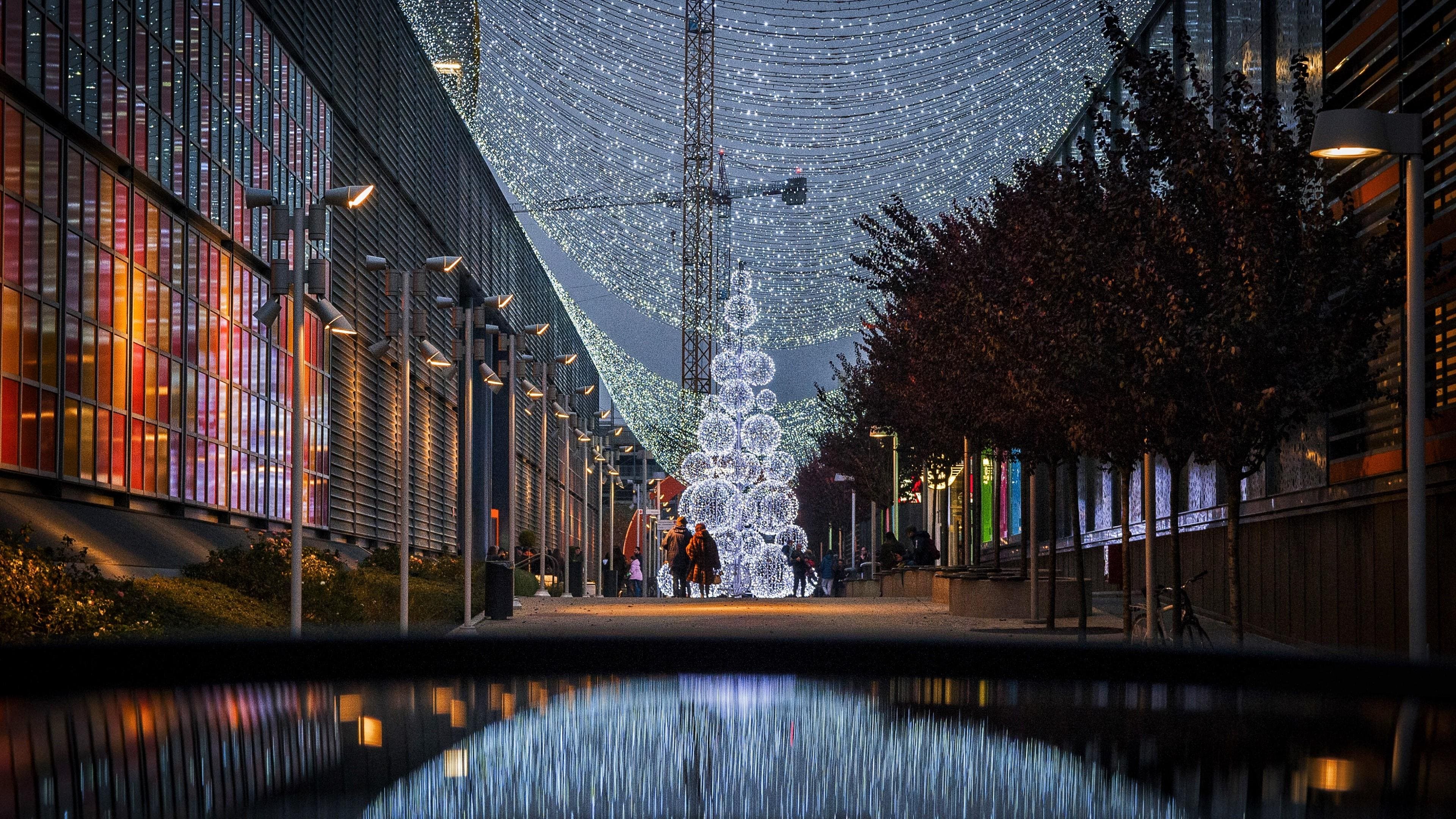 large picture of the cover